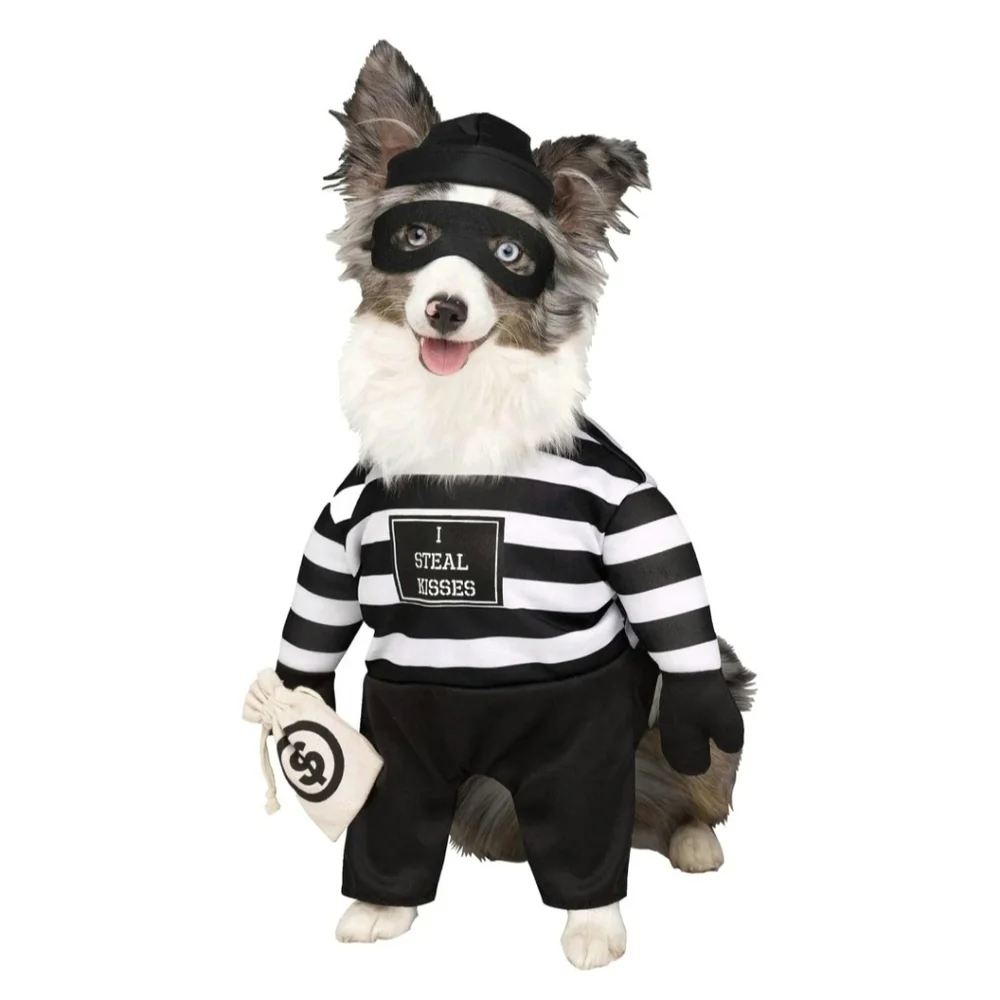 NWT Robber Pup Pet Costume Ashland Halloween, Size Small